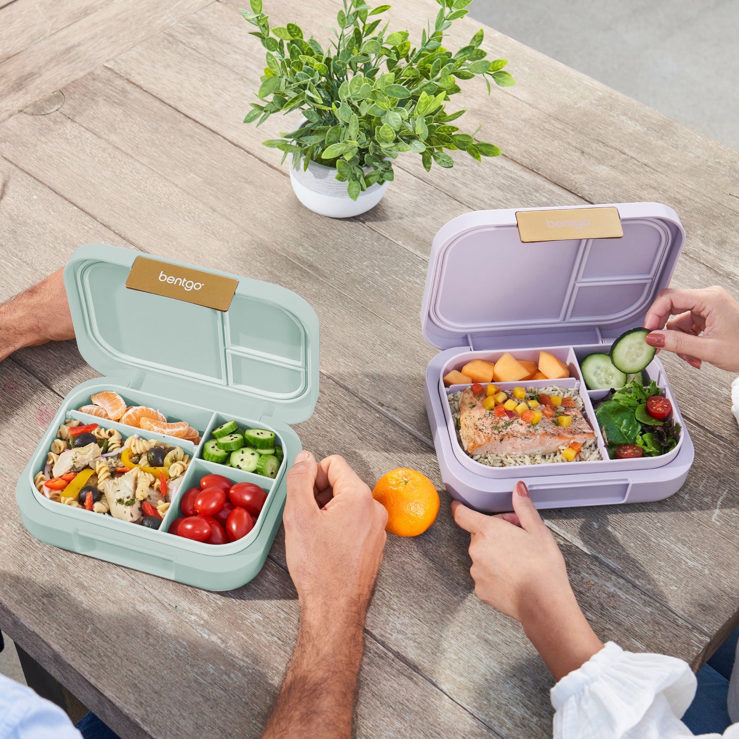 bentgo-modern-lunch-box-2-pack-n3 COSTCOBMCPRODUCTIMAGE_2.jpg